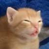 kwadrable