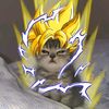 tt_buster12
