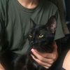 kittiold