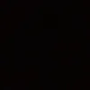 flavia5747