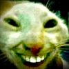 waleedkwt296