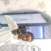 user98661284099547