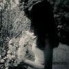 jsb_079