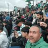 albarassi