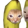 mixbone
