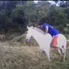 rogeu7santos