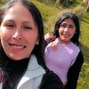 rosli.alcocer.fer