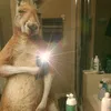 nachoo_123bj