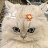 starla_772