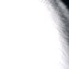 zoff_zoff_2024