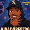 viralvibes.739