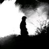 t.q_n