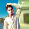 M Naveed