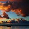 said.kurniawan8