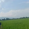 _yasri1806