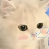 dng.ng.phng3