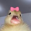 hehehhehe879