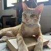 little.cam7