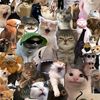 iluvmybestieeyukii100