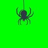 gr33n_spider