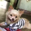 khanh.nguyen9211