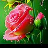 md.forhad7754