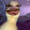 anhlekhe
