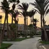 livy40025