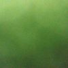 alomali_sesat0