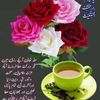 sobia.farrukh55