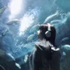 trannhuquynh_0