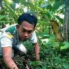 rby586