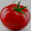 tomato_tomato_tomatoes