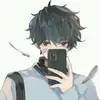pp3dro1199