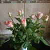 frageinfachnicht43