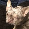 colton0135