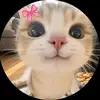 lisahhs7
