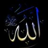mhamad.hamad94