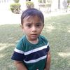 falaq.niaz2