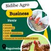 sidibeahrobusiness02