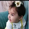b.alwan.albadari