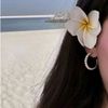 usert_nina