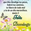 dorotea4502