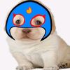 pepito.enas.capit