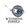Wyoming_Fossils