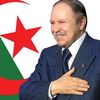 mourad.ziani78