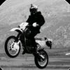 abo.mohamad7976