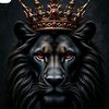 user5440333544412