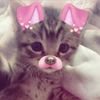 miodek._.1