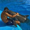 mohamed hany